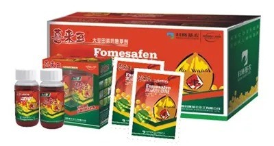 喜来豆